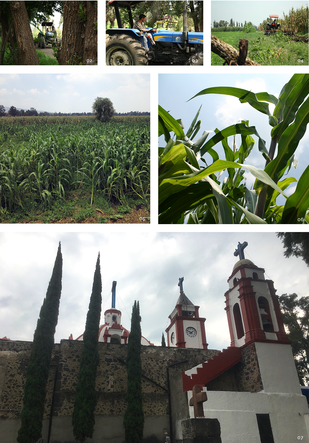 Pueblos Originarios